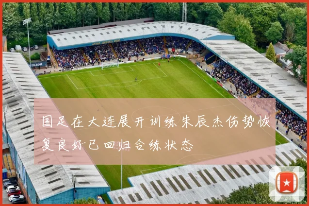 国足在大连展开训练朱辰杰伤势恢复良好已回归合练状态